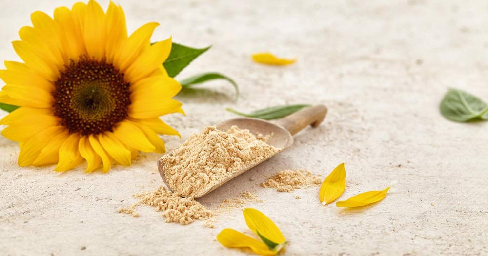 lecithin
