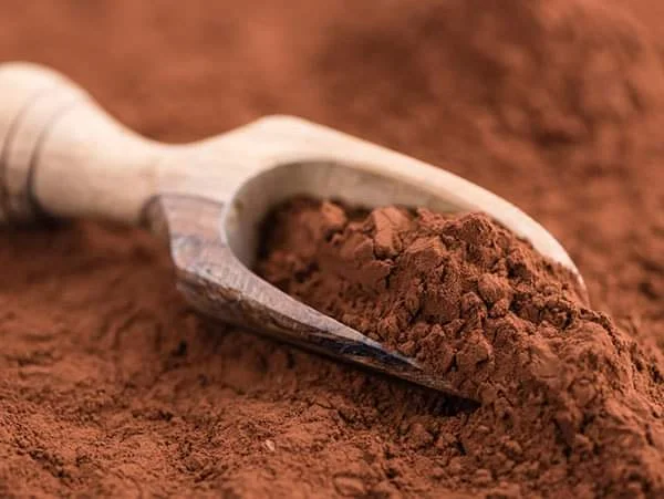 قیمت پودر کاکائو کارگیل عمده | CARGILL GERKENZ