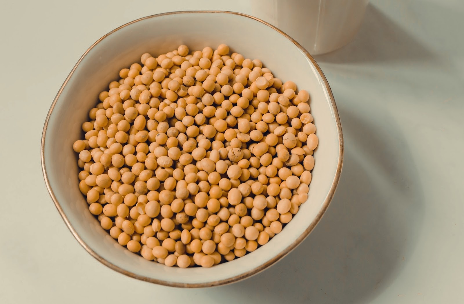 Sale of Food-Grade Soy Lecithin (E322) | Import of Lecithin from India