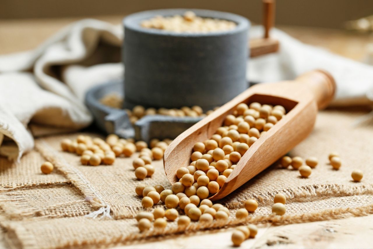 Indian Lecithin