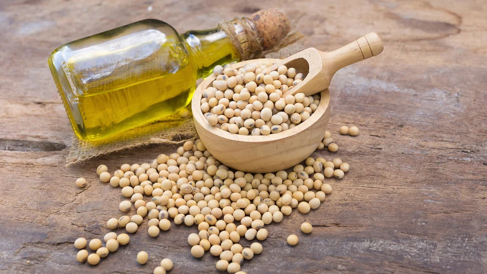 Indian Lecithin