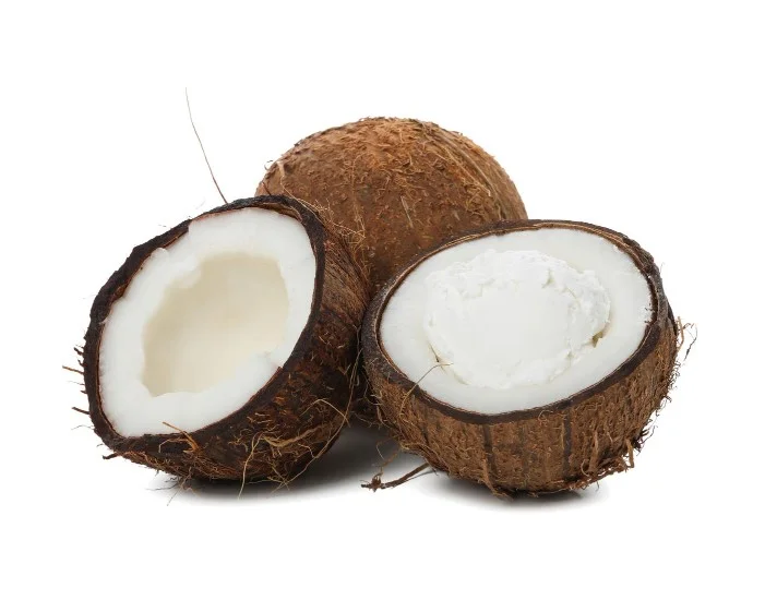 Tehran Market Price List for Indonesian Coconut Powder