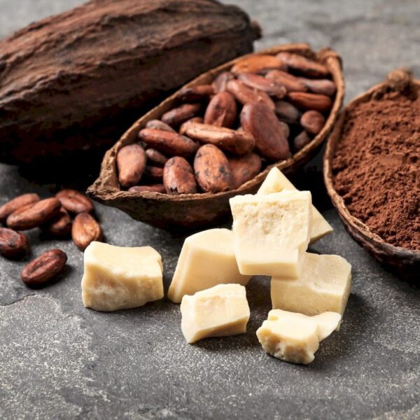 قیمت فروش عمده روغن جانشین کره کاکائو سی بی اس