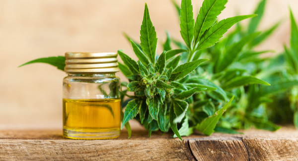 What is CBS oil and how is it produced?