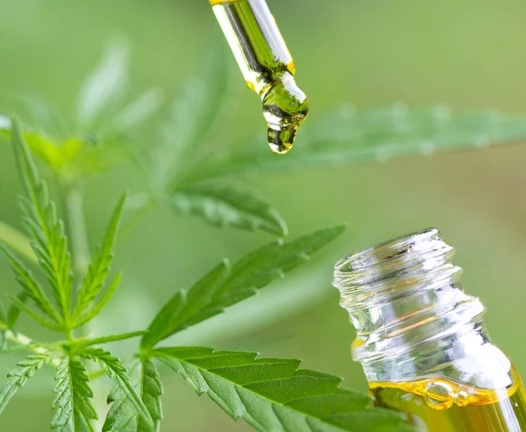 What is CBS oil and how is it produced?