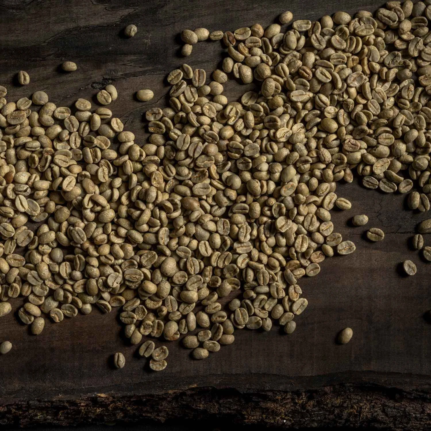 دانه خام قهوه برزیل ریو