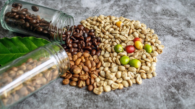 دانه خام قهوه چری