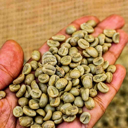 دانه خام قهوه چری