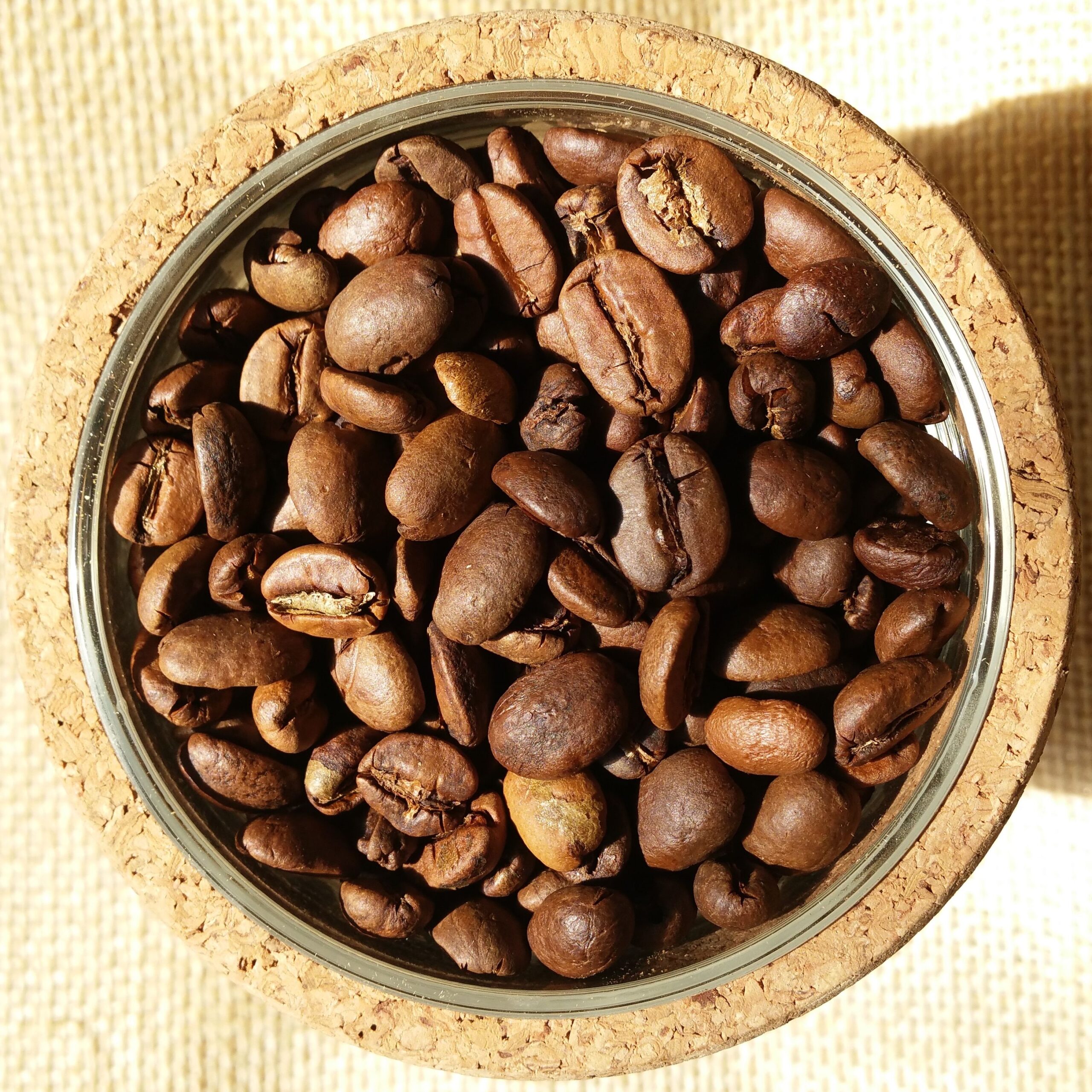 دانه قهوه رست اوگاندا