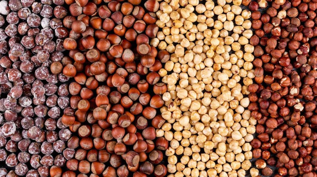 واردات مواد اولیه غذایی از ترکیه