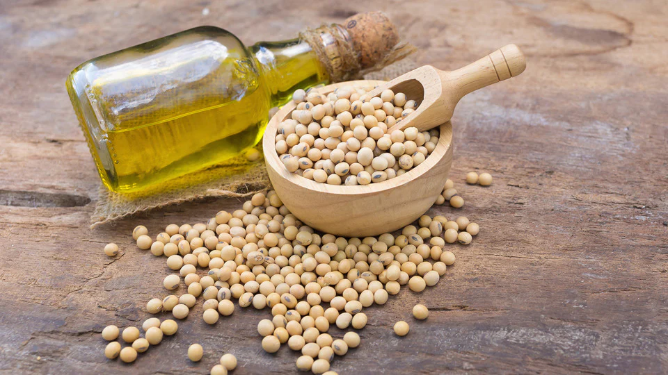 Lecithin - لسیتین