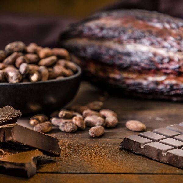 تاریخچه مصرف کاکائو و تغییرات آن در طول زمان