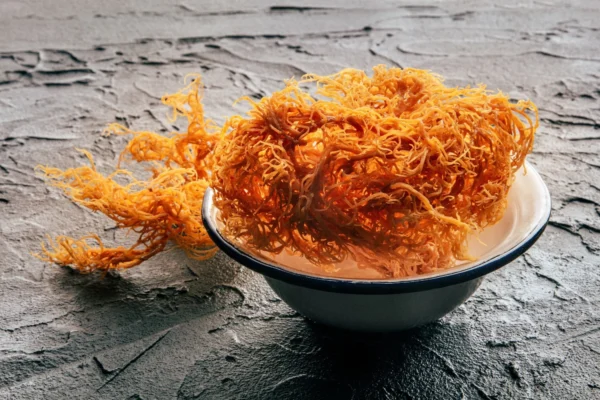 فروش Carrageenan - کاراگینان