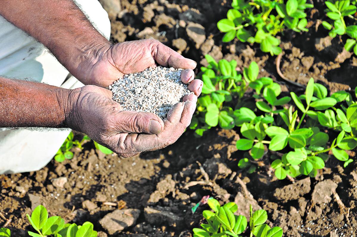 واردات کود کشاورزی