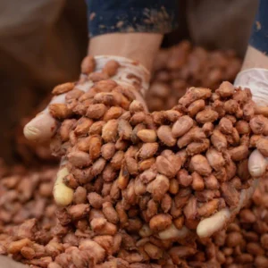 طعم‌دهنده‌های طبیعی