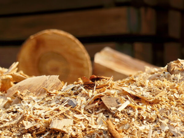 فروش عمده پالپ تفاله چوب Wood Mechanical Pulp