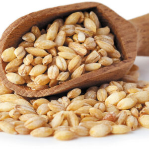 فروش پروتئین جو