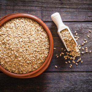 فروش پروتئین کتان