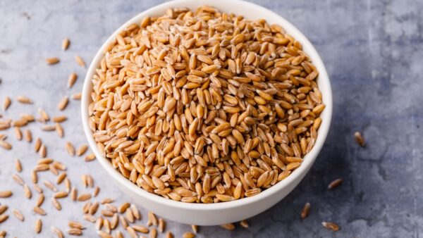 فروش پروتئین گندم گلوتن