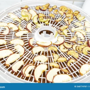 ماشین خشک‌کن پاستیل