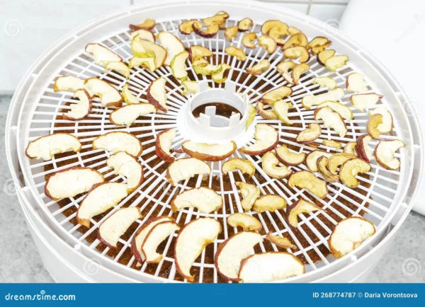 ماشین خشک‌کن پاستیل