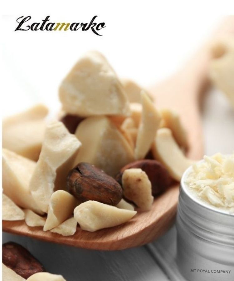 فروش کره کاکائو – Barry Callebaut