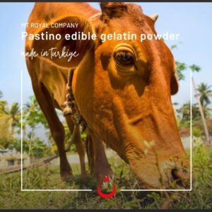 فروش ژلاتین گاوی با بلوم بالا