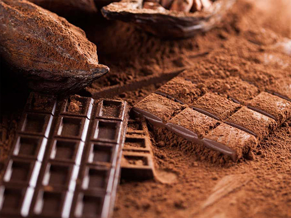 پودر کاکائو صنعتی برای فابریکه شیرینی و کیک