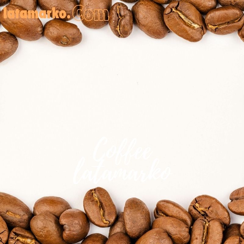 واردات قهوه روبوستا