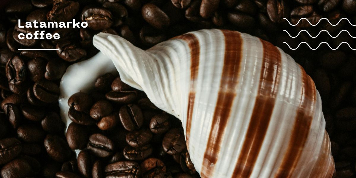 بهترین برند قهوه اسپرسو بهترین برند قهوه اسپرسو