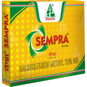 داروی سمپرا (Sampra)