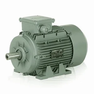 دینام گاماک 1HP – GAMAK Motor 1HP