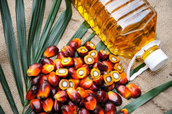 فروش انواع روغن سی بی اس مالزی