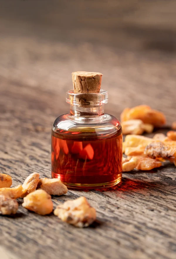 واردات اسانس غذایی Givaudan (سوئیس)