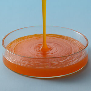 واردات لسیتین تخم مرغ دارویی