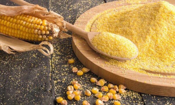 واردات گلوتن ذرت — Sunar Mısır