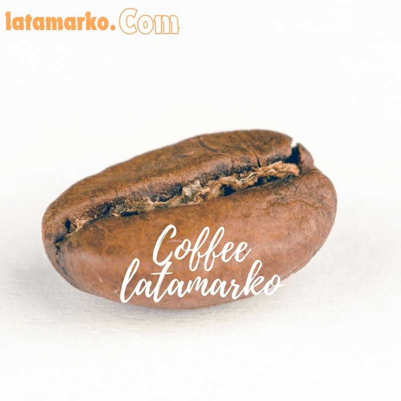 واردات قهوه مکزیک چیاباس از ترکیه – Latamarko