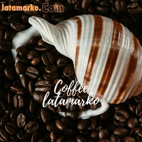 فروش قهوه نیکاراگوئه ماراگوگیپه از ترکیه – Latamarko