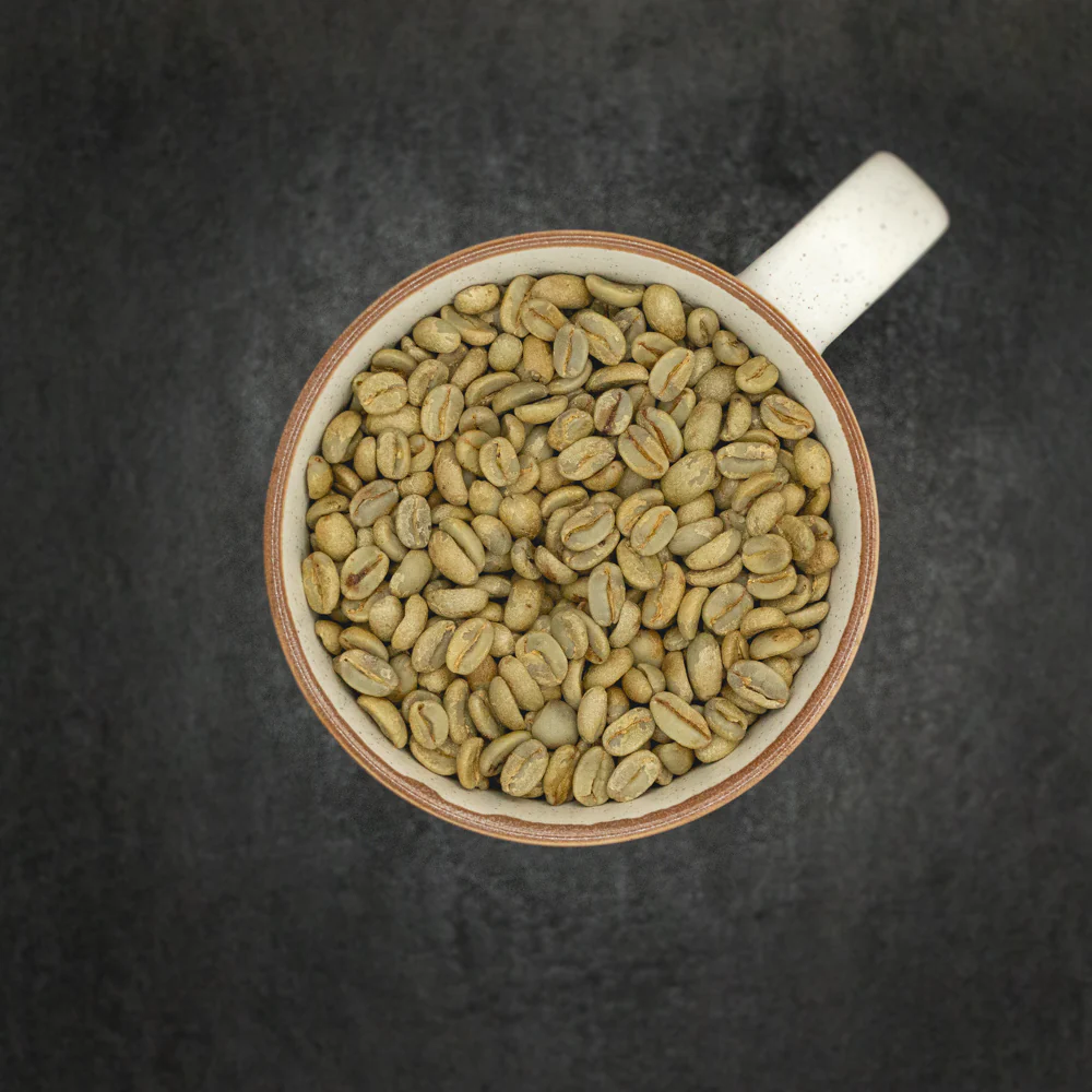 فروش دانه سبز قهوه السالوادور بوربون