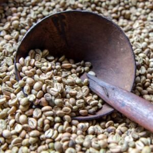 فروش دانه سبز قهوه ماداگاسکار روبوستا