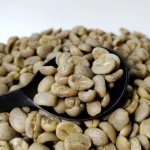 فروش دانه سبز قهوه ماداگاسکار روبوستا