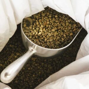 واردات دانه سبز قهوه لائوس روبوستا