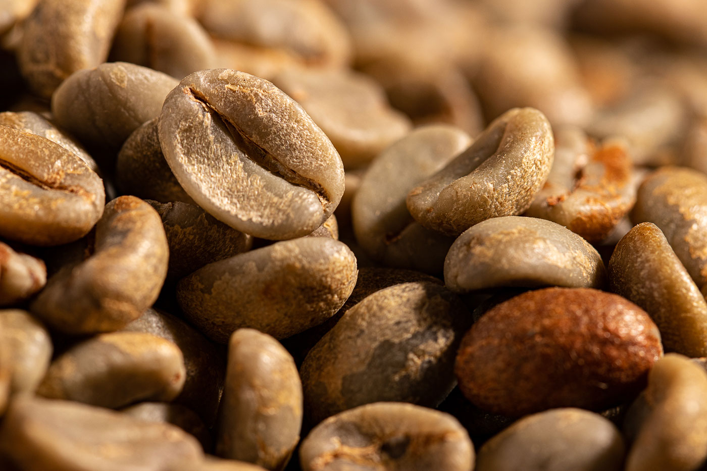 واردات دانه سبز قهوه مالاوی اسپشیالتی