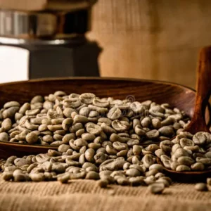 واردات دانه سبز قهوه نیکاراگوئه عربیکا