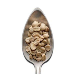 واردات دانه سبز قهوه نیکاراگوئه ماراگوگیپه