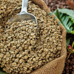 واردات دانه سبز قهوه پرو عربیکا