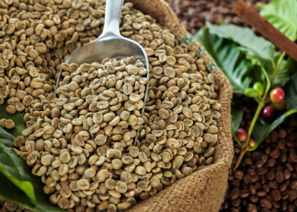 واردات دانه سبز قهوه پرو عربیکا