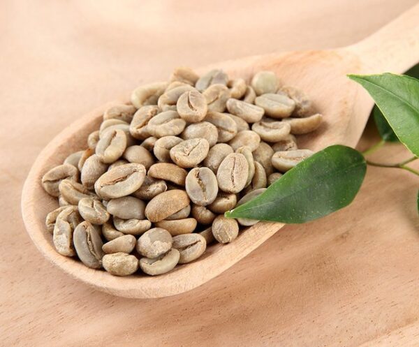 واردات دانه سبز قهوه کنیا AA