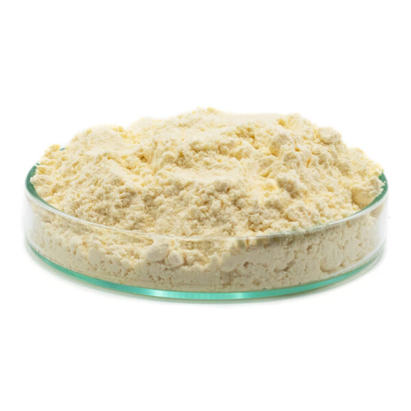 واردات لسیتین محلول در آب (Water-Soluble Lecithin)