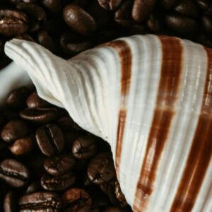 پودر کاکائو DB دی بی 82 کارگیل هلند